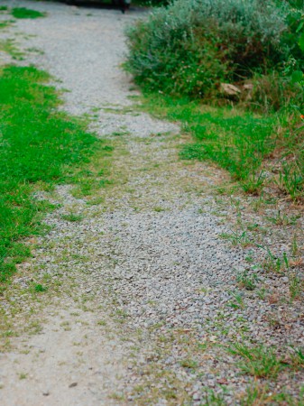 L'acc&egrave;s au g&icirc;te