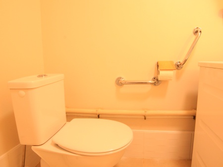 Devant le WC, il y a deux barres d'appuis qui permettent de se soulever